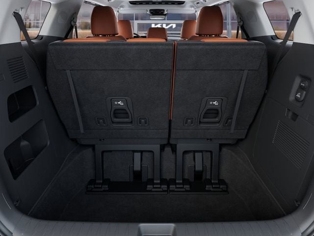 2026 Kia Carnival SX Dark Edition
